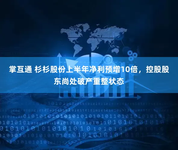 掌互通 杉杉股份上半年净利预增10倍，控股股东尚处破产重整状态